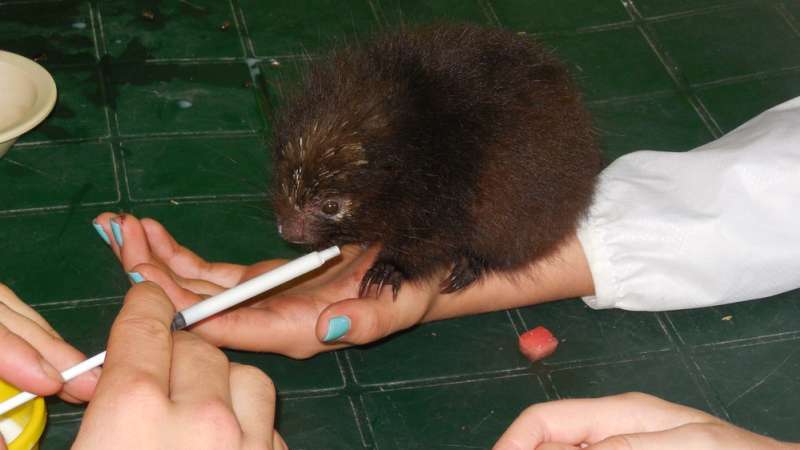Wildlife Rescue Center in Costa Rica
