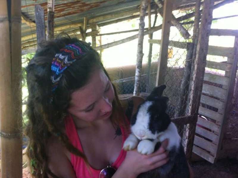 Wildlife Rescue Center in Costa Rica
