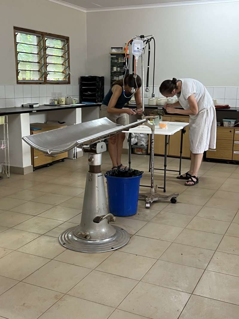 Wildlife Veterinary Internship in Malawi