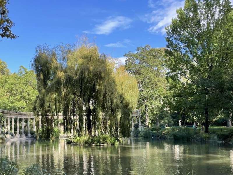 Willow tree over pond in paris
