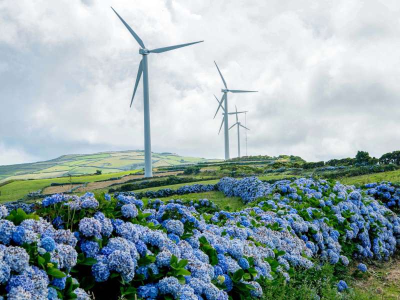 Wind turbines in Portugal