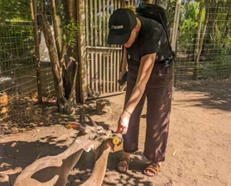 Woman Feeding Deer in Mexico
