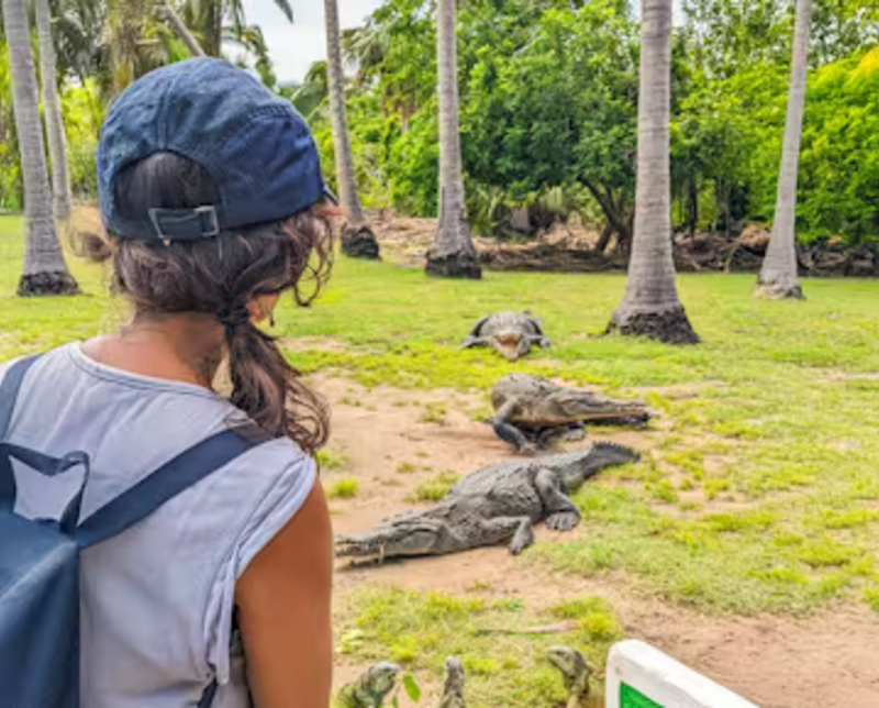 Woman Observing Crocodiles in Mexico