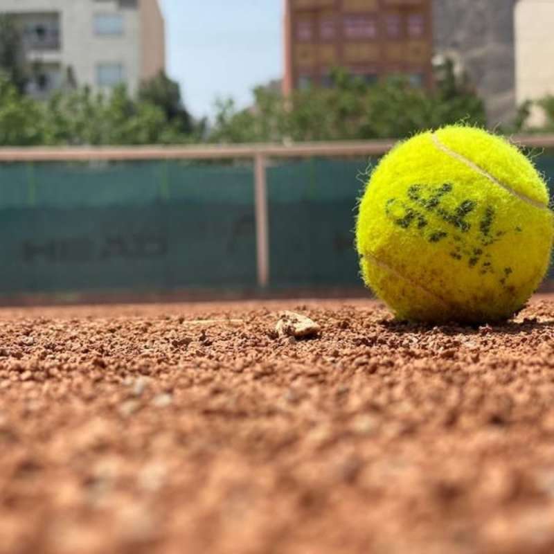 Sports Management Internship