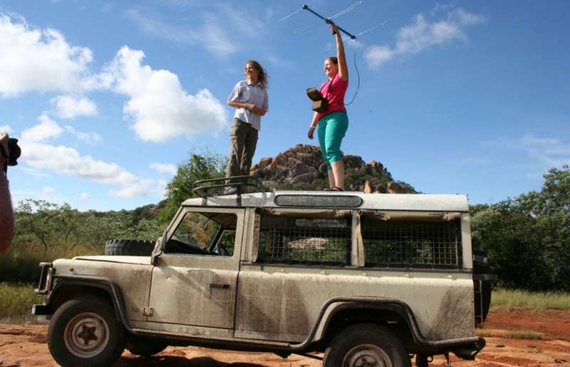 Zimbabwe - African Wildlife Orphanage