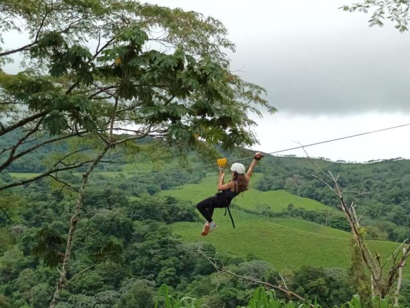 zipline