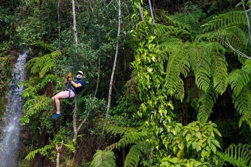 Ziplining in the Cloud Forest