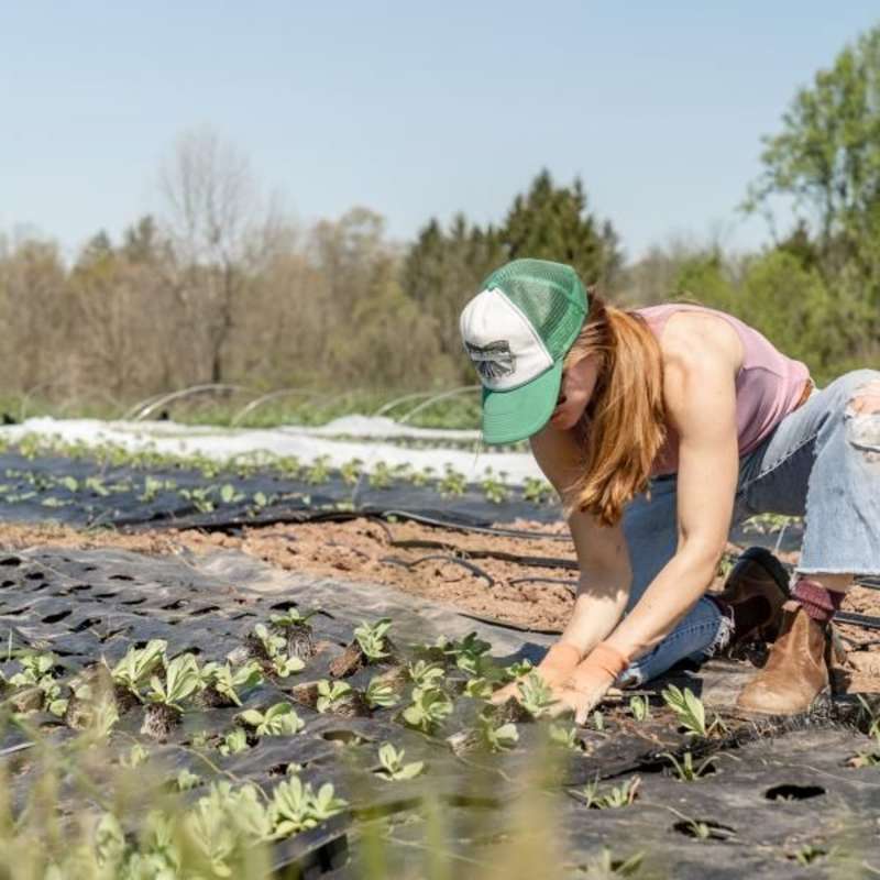 Botanical Garden Internship