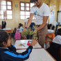 education, reforestation